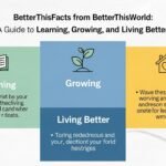 betterthisfacts infomation from betterthisworld